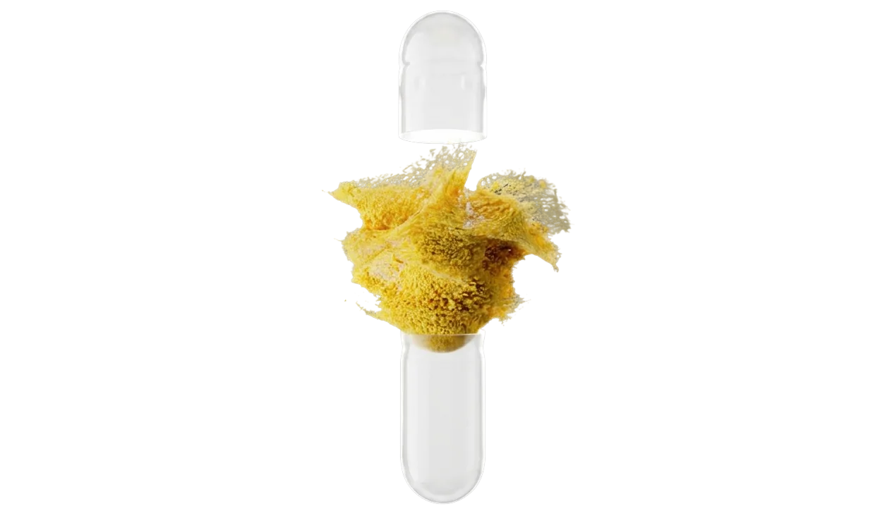 Capsule with biofilm material