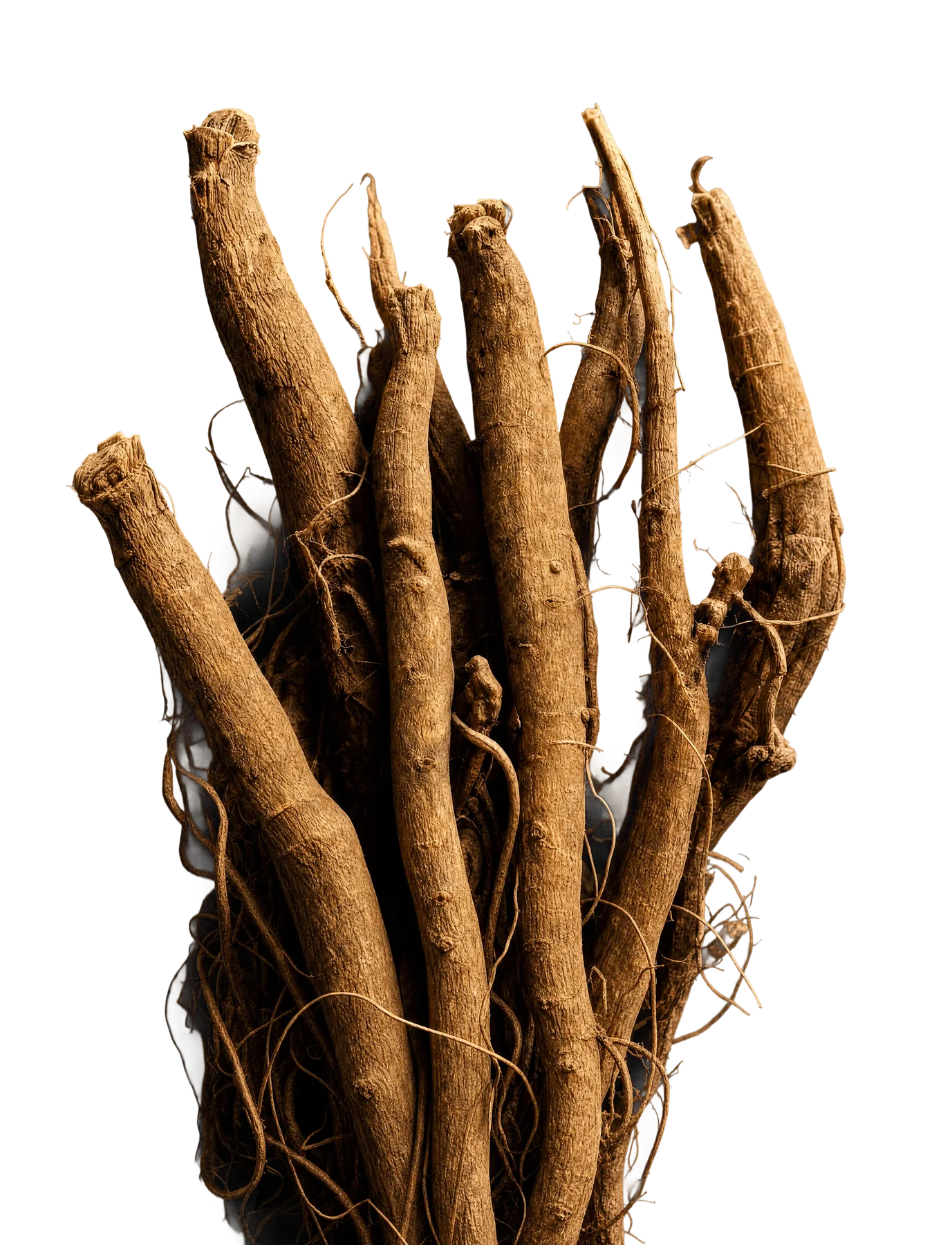 Ashwagandha root